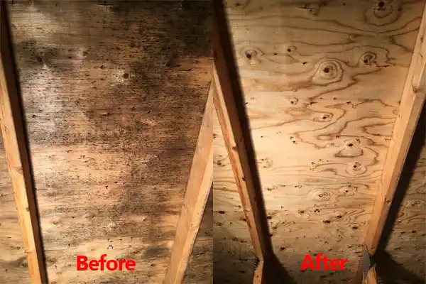 water damage restoration service Calhoun